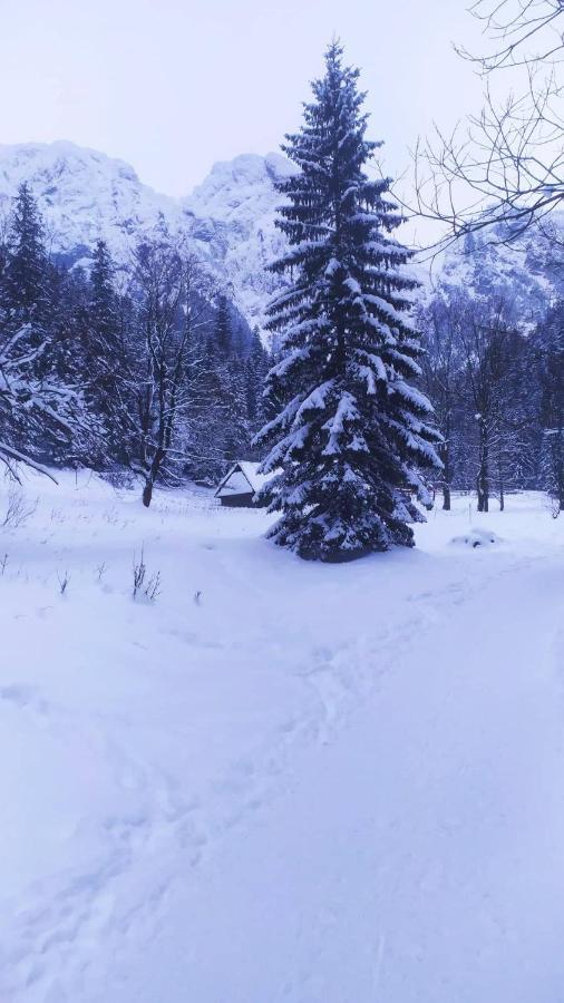 Pokoje Goscinne Przeklasa Pawel Zakopane Exterior foto