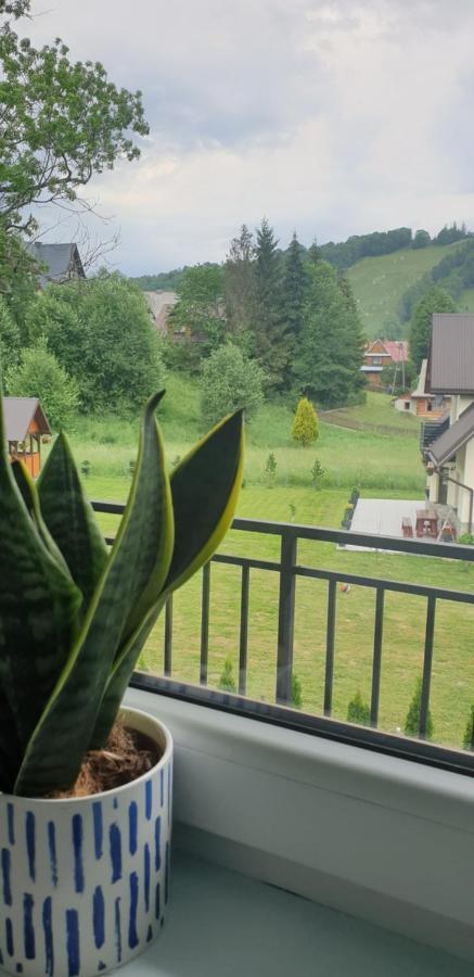Pokoje Goscinne Przeklasa Pawel Zakopane Exterior foto