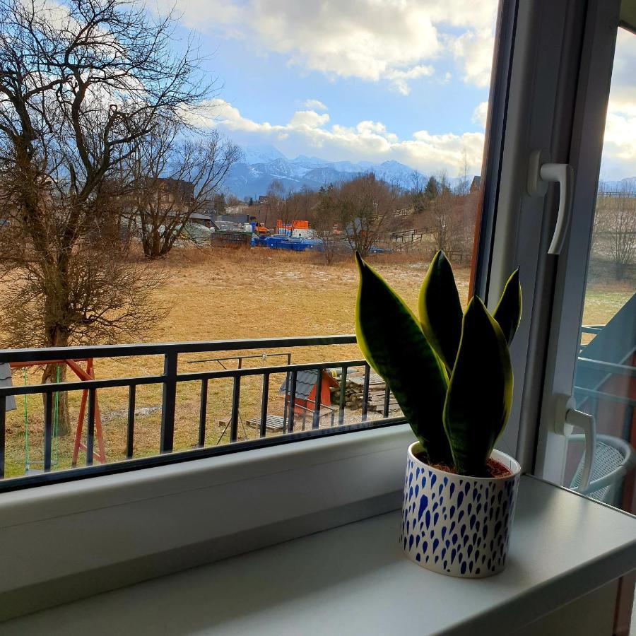 Pokoje Goscinne Przeklasa Pawel Zakopane Exterior foto